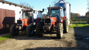 Massey Ferguson 3065 & 3095