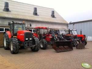 Massey Ferguson, Case IH, Zetor