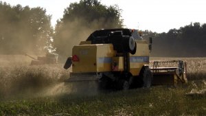 New Holland-Bizon