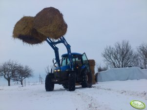 New Holland TD80D