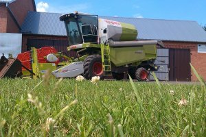 Claas Avero