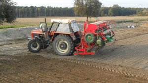 Zetor