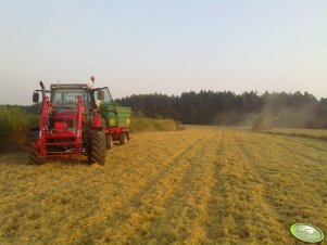 MF 5435 + Metaltech + Claas Dominator 68 s