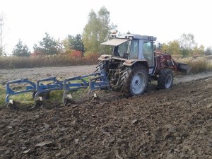 Massey Ferguson 3060 + Rabewerk 4x40