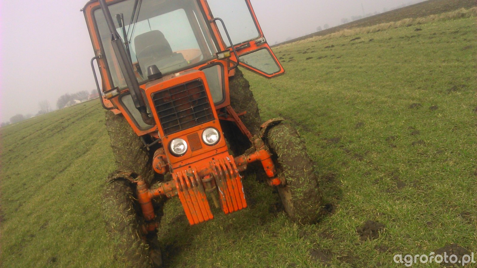 Obraz ciagnik MTZ 80 id:550707 - Galeria rolnicza agrofoto