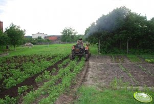 Ciągnik SAM + obsypnik