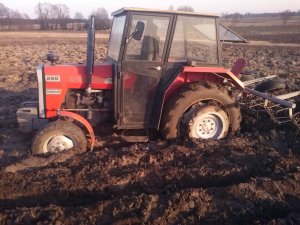 Massey Ferguson 255 i Brony