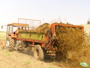 Massey Ferguson + Rozrzutnik