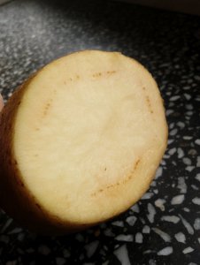 Bakterioza pierścieniowa ziemniaka