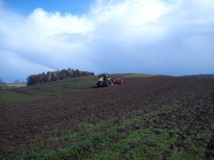 Challenger MT 765 D + Horsch