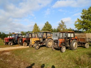 Ursusy & Massey Ferguson & Zetor