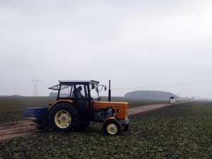 Ursus C-360-3P & Bogballe