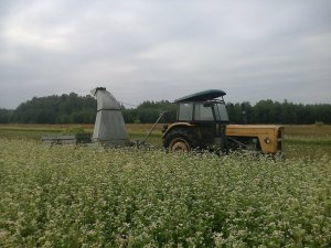 Ursus C-360 & Orkan 2 & dwukółka