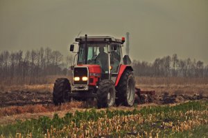 Massey Ferguson 3060