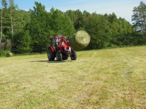 Zetor Major 80