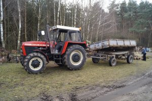 Zetor 8145 Turbo