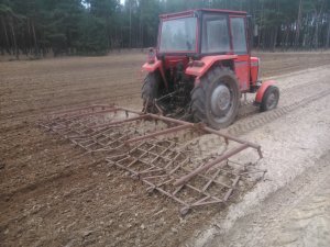 Massey Ferguson 255 + Brony 5