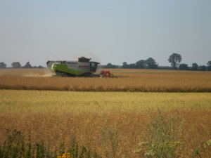 Claas Lexion 600