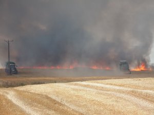 Pożar Pszenicy w Terebińcu