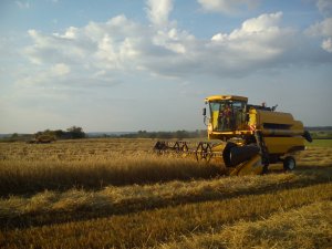 2x New Holland TC5040