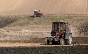 Massey Ferguson 255 x2