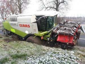 Claas Lexion 580 i Dominoni 8 rzędów