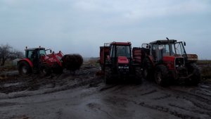 Massey ferguson 3120 & Massey ferguson 5410 & Case Jx 95
