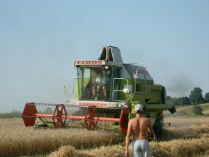 Claas Dominator 88