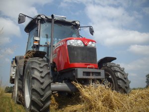 Massey Ferguson 3625