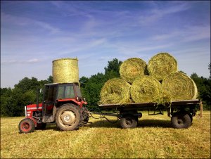 Massey Ferguson 255