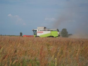 Claas Lexion 450 Evolution