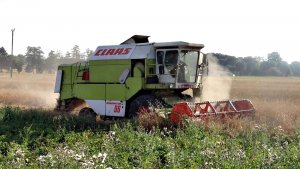 Claas Dominator 96
