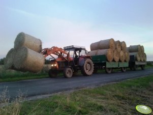 Zetor 8011 + przyczepy 8T i 6T 