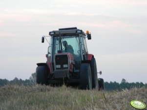 Massey Ferguson 3080 & Metal Fach Z-562