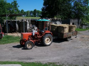 Władimirec T25 A2 i przyczepa jednoosiowa