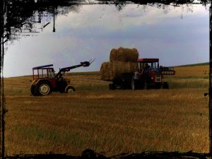 Ursus C-360 i Ursus C-330