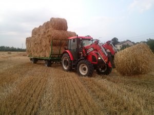 Zetor Proxima 8441