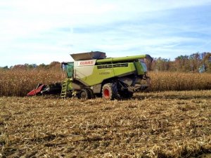 Claas Lexion 770