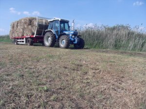 Ford 6410 & Dłużyca