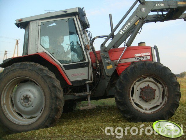 Obraz ciagnik Massey Ferguson 3075 #170471 - Galeria rolnicza agrofoto