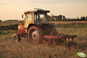 Massey Ferguson 3050 + gruber 1,8m