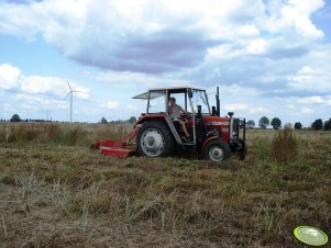 Massey Ferguson 255 + Ścinacz sadowniczy Famarol