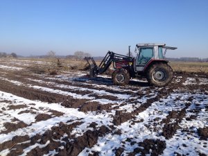 Massey Ferguson  3060