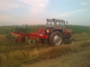 Massey Ferguson 390 + Agregat Ścierniskowy Unia Kos z siewnikiem do poplonów Alfa