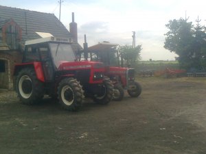 Zetor 8145 & mf 255