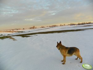 Zachód nieopodal Flesz