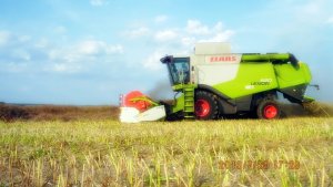 Claas Lexion 620