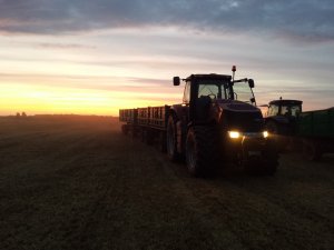 Case Magnum 260 + "ruski skład" w pięknym krajobrazie