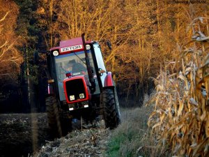 Zetor 10540 podczas orki po QQ