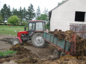 MTZ 82 z rozrzutnikiem Tandem 6T